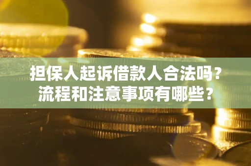 北京担保人起诉借款人合法吗？流程和注意事项有哪些？