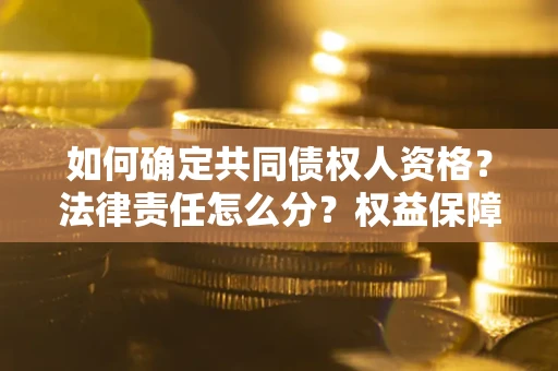 北京如何确定共同债权人资格？法律责任怎么分？权益保障技巧揭秘！