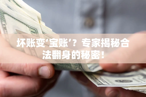 北京坏账变‘宝账’？专家揭秘合法翻身的秘密！