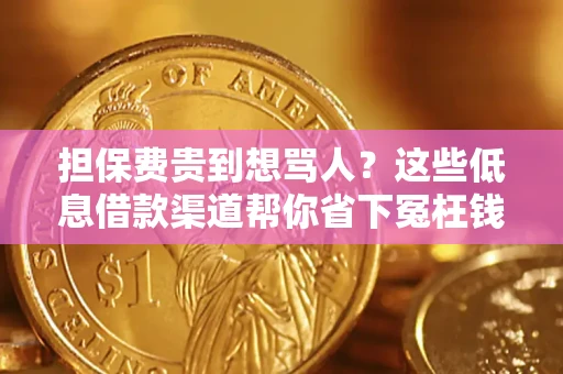 北京担保费贵到想骂人？这些低息借款渠道帮你省下冤枉钱