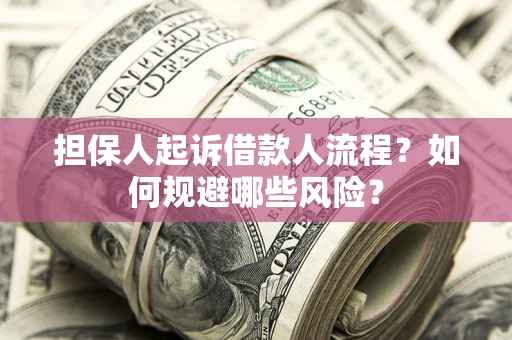 北京担保人起诉借款人流程？如何规避哪些风险？