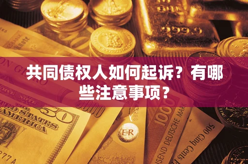 北京共同债权人如何起诉？有哪些注意事项？