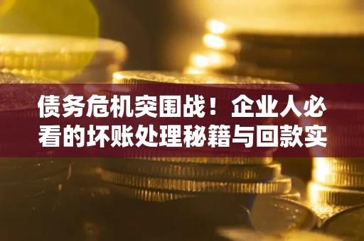 北京债务危机突围战！企业人必看的坏账处理秘籍与回款实战指南